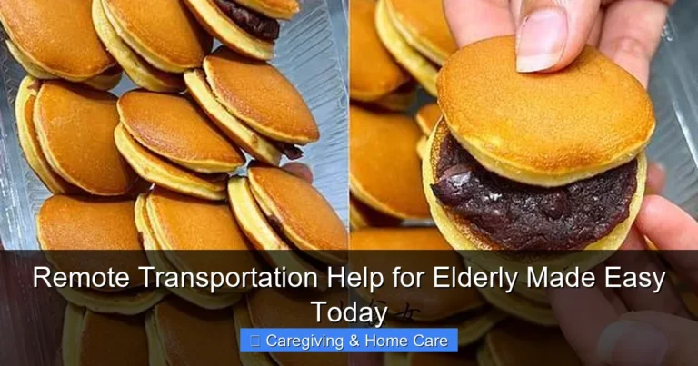Remote Transportation Help for Elderly Made Easy Today
