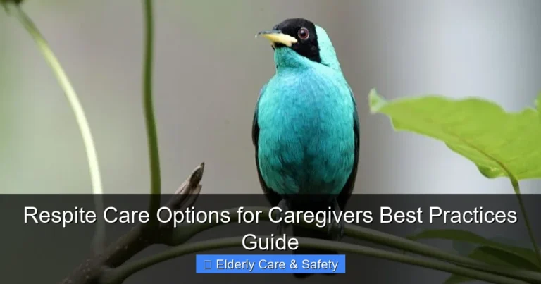 Respite Care Options for Caregivers Best Practices Guide