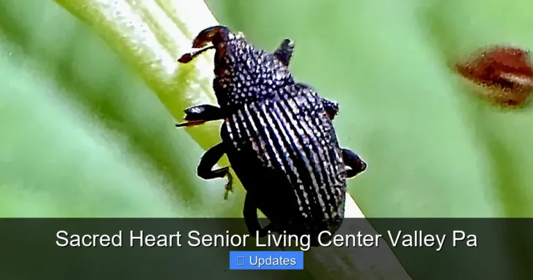 Sacred Heart Senior Living Center Valley Pa