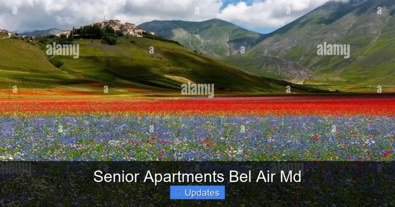 Senior Apartments Bel Air Md