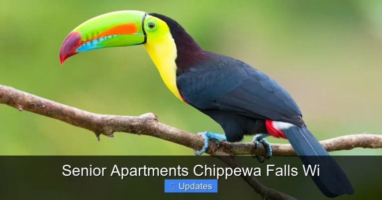 Senior Apartments Chippewa Falls Wi
