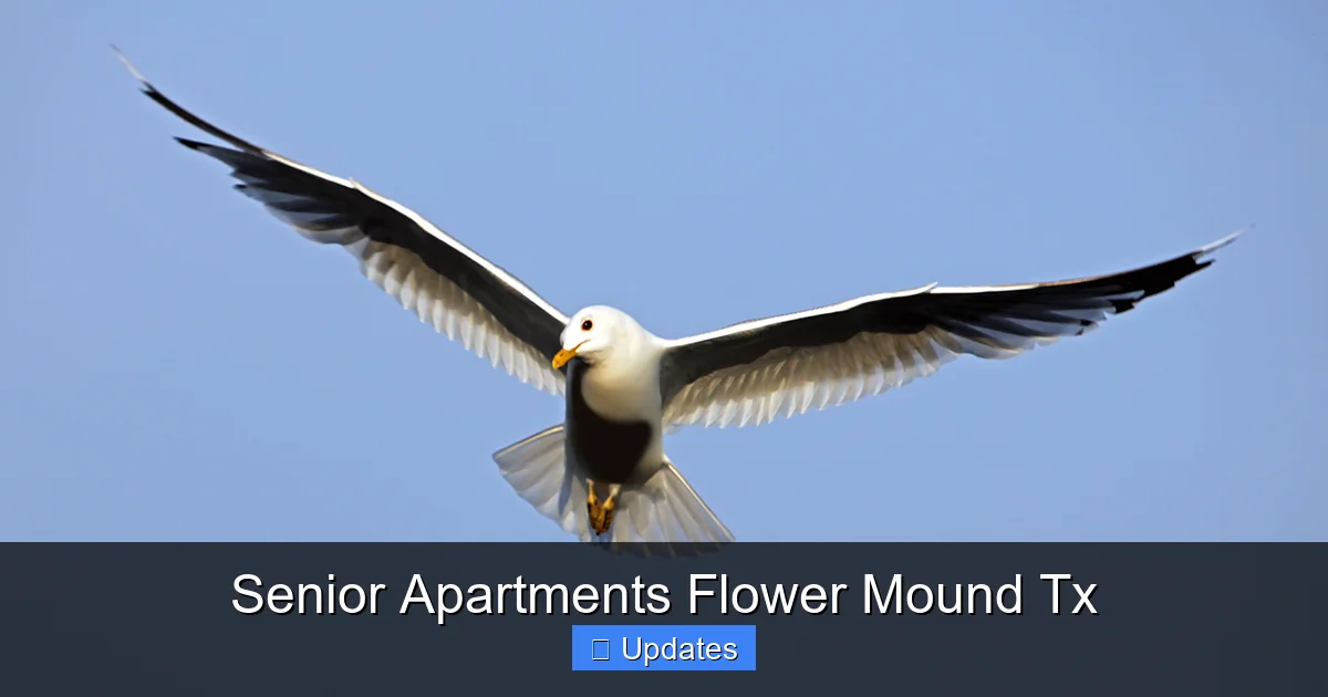Senior Apartments Flower Mound Tx