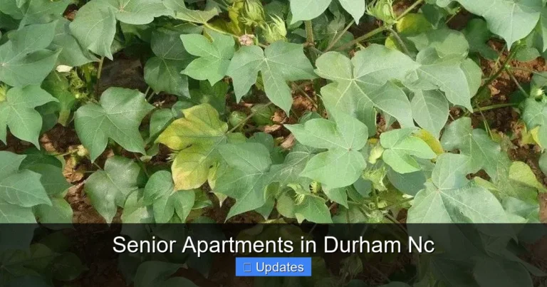 Senior Apartments in Durham Nc