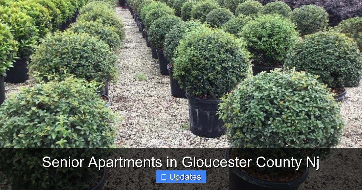 Senior Apartments in Gloucester County Nj