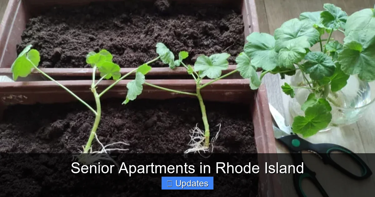 Senior Apartments in Rhode Island