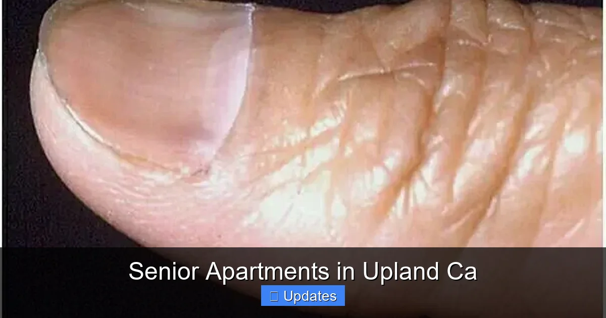 Senior Apartments in Upland Ca