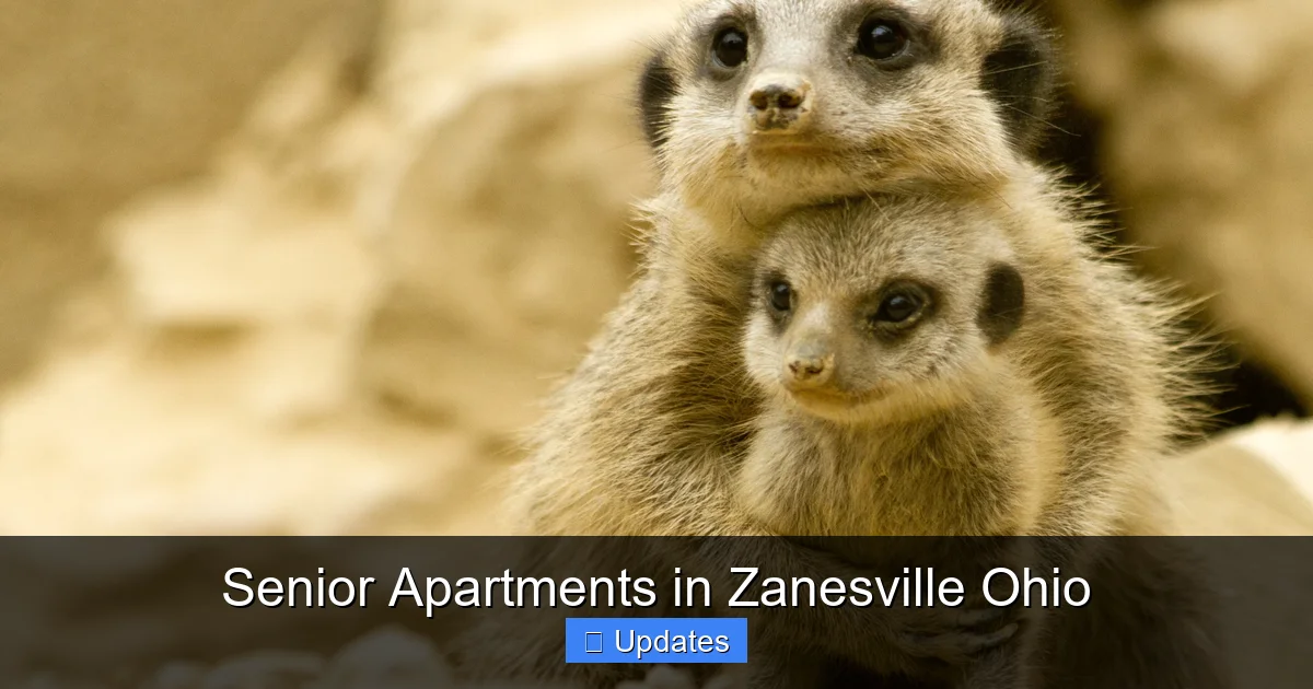 Senior Apartments in Zanesville Ohio