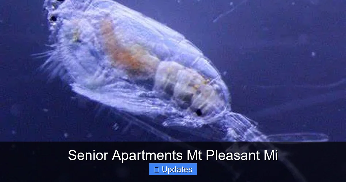 Senior Apartments Mt Pleasant Mi