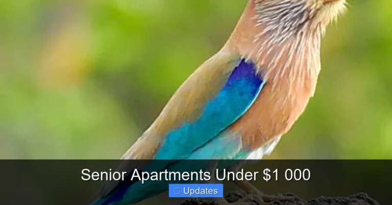 Senior Apartments Under $1 000