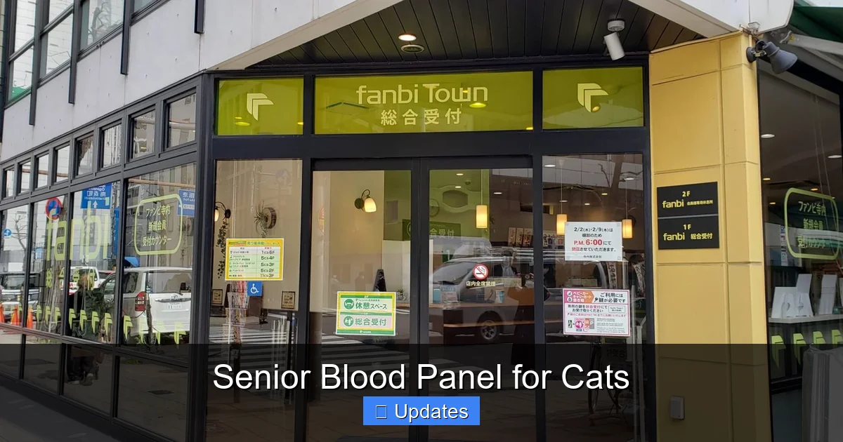 Senior Blood Panel for Cats