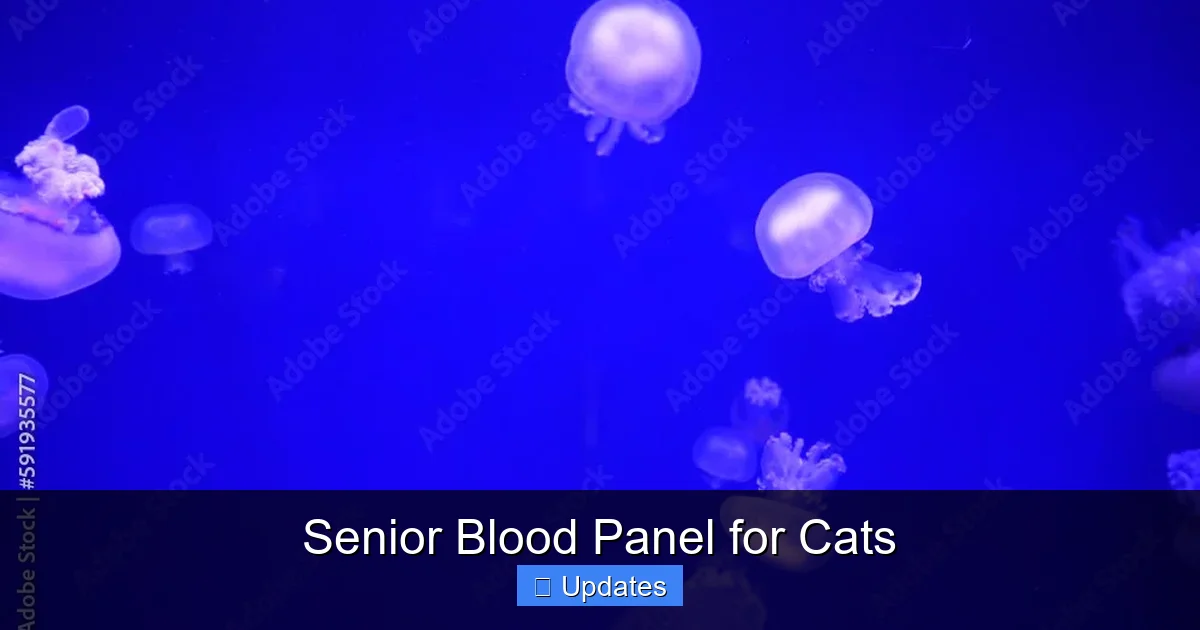 Senior Blood Panel for Cats