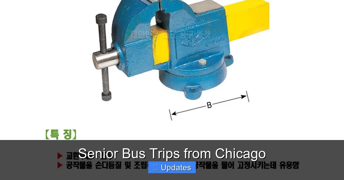 Senior Bus Trips from Chicago