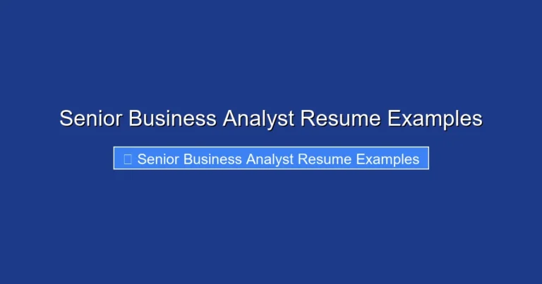Senior Business Analyst Resume Examples