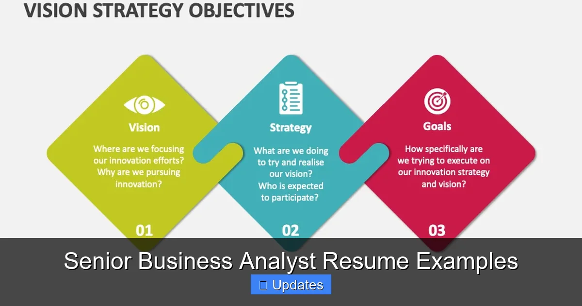 Senior Business Analyst Resume Examples
