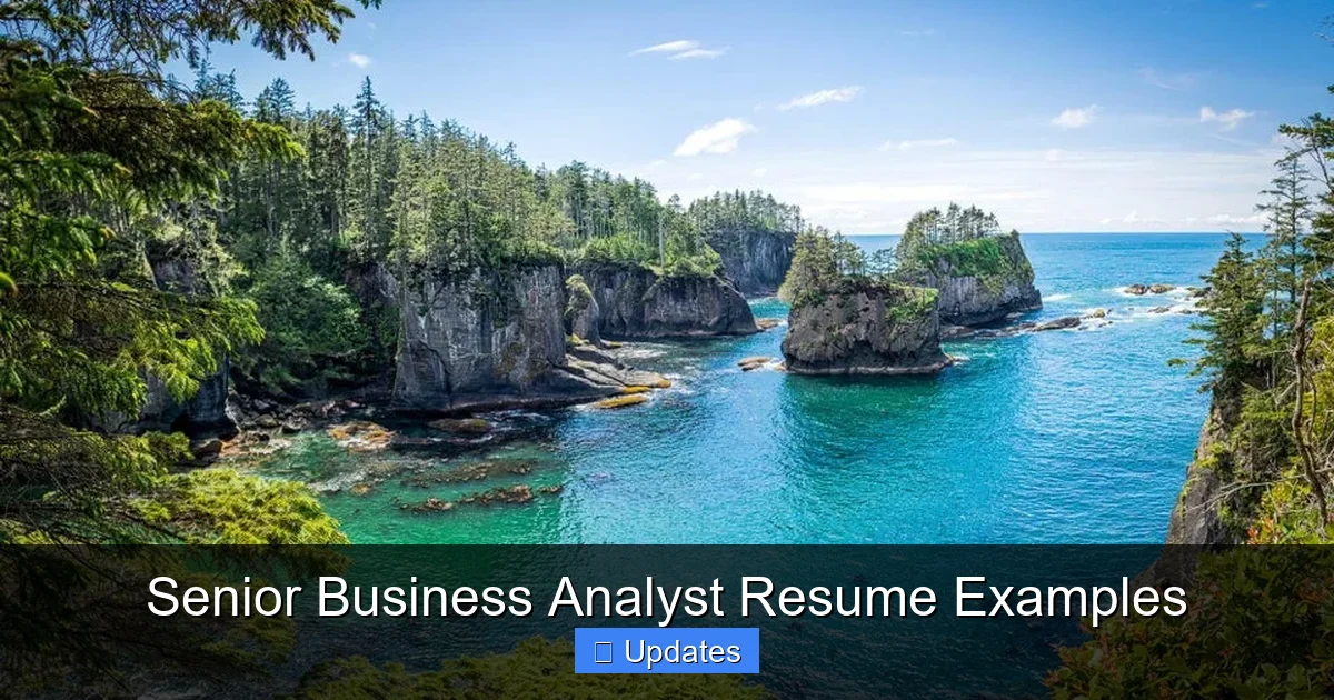 Senior Business Analyst Resume Examples