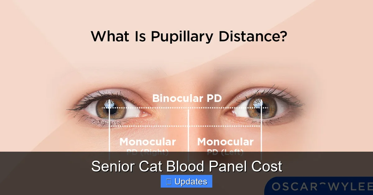 Senior Cat Blood Panel Cost