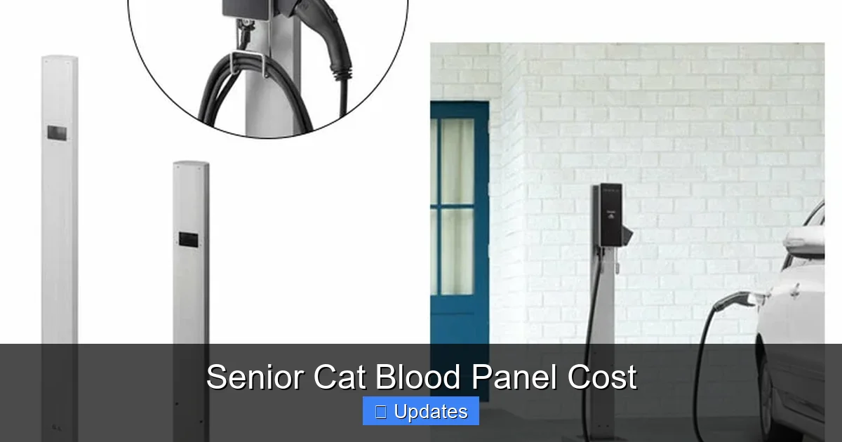 Senior Cat Blood Panel Cost