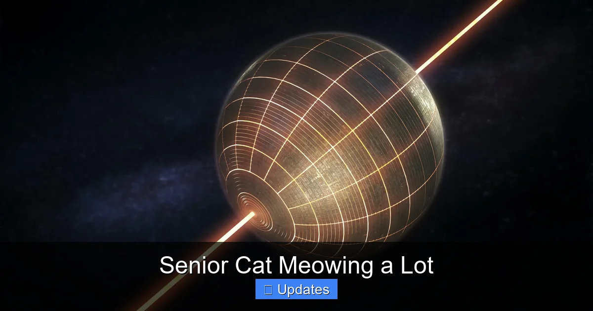 Senior Cat Meowing a Lot
