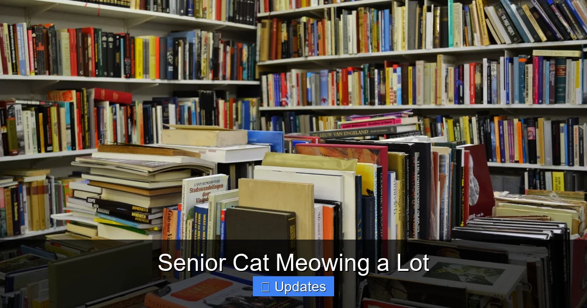 Senior Cat Meowing a Lot