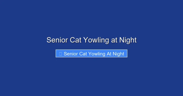 Senior Cat Yowling at Night