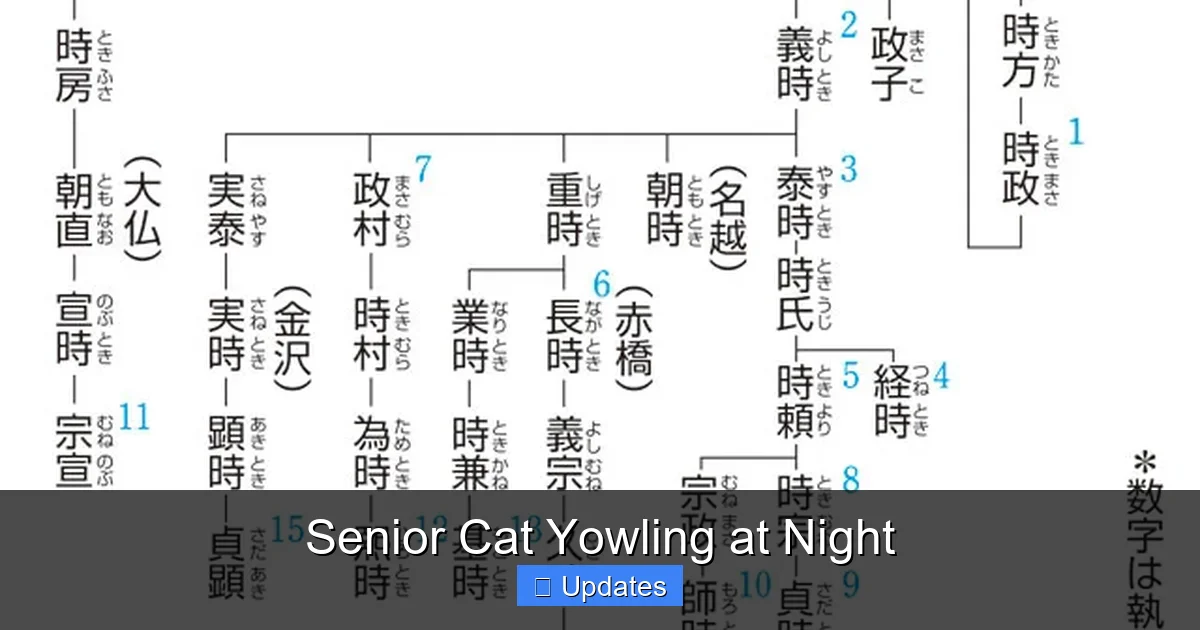 Senior Cat Yowling at Night