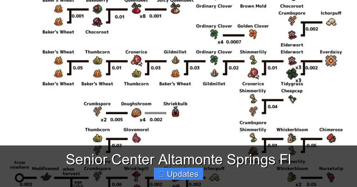 Senior Center Altamonte Springs Fl