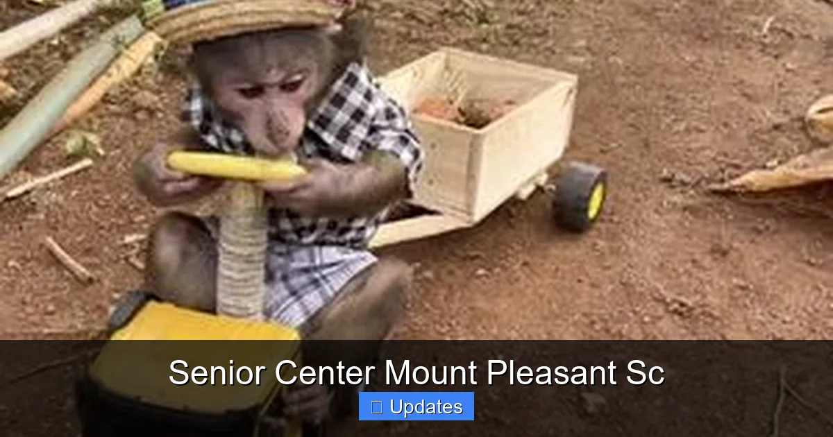 Senior Center Mount Pleasant Sc