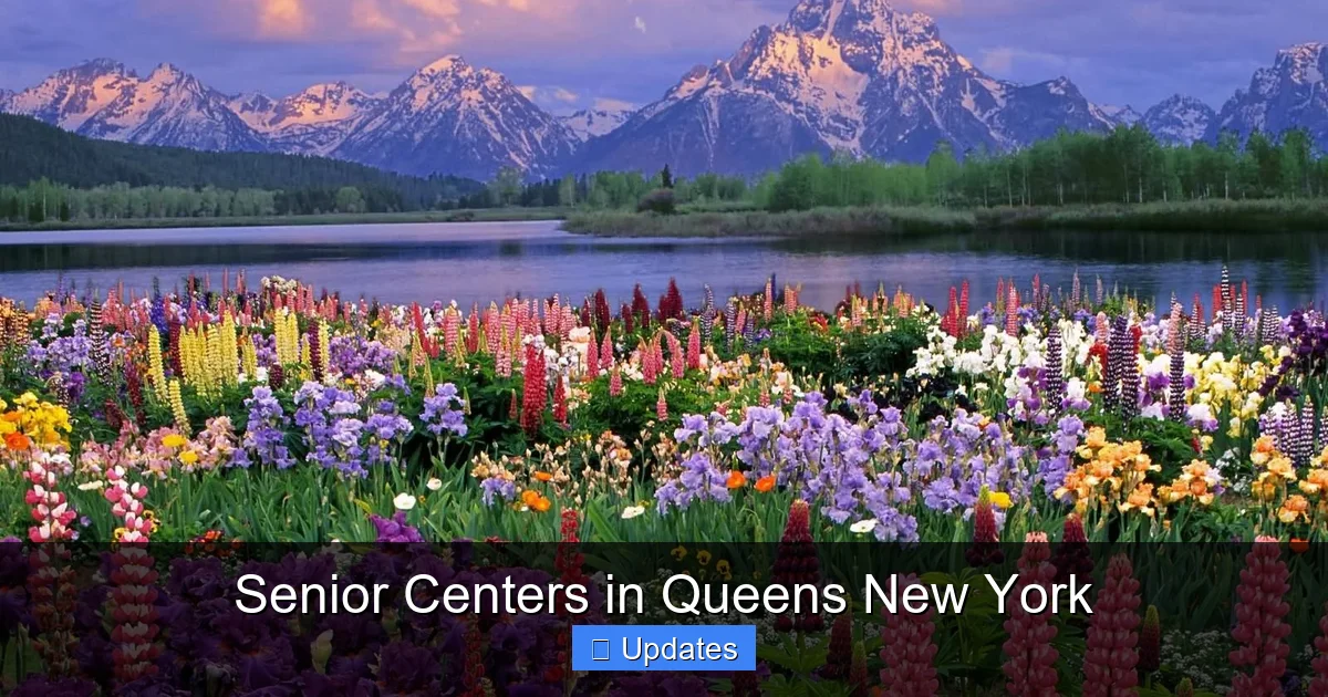 Senior Centers in Queens New York