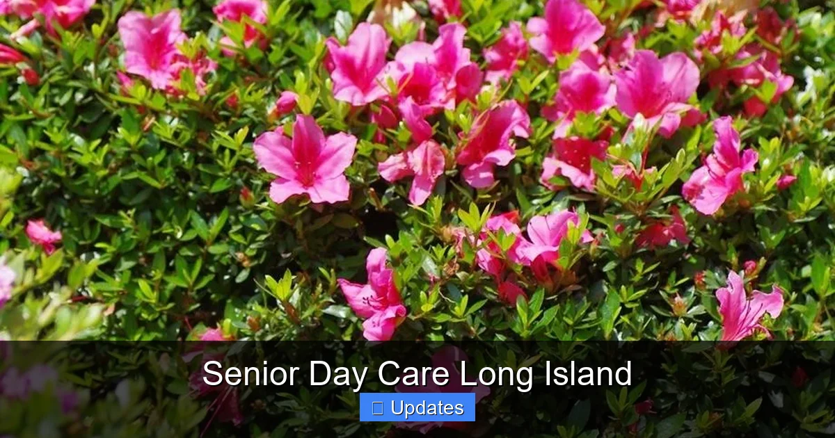 Senior Day Care Long Island