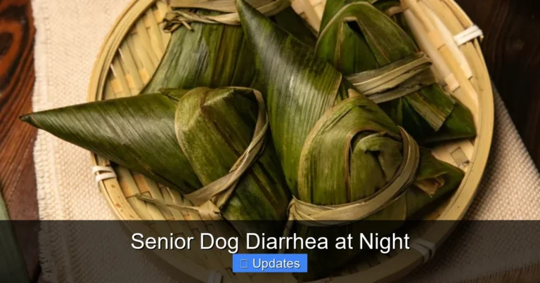 Senior Dog Diarrhea at Night