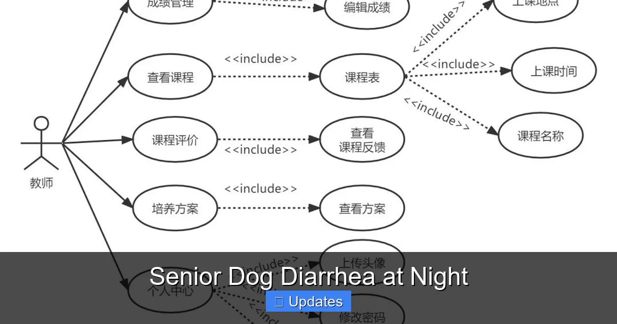 Senior Dog Diarrhea at Night