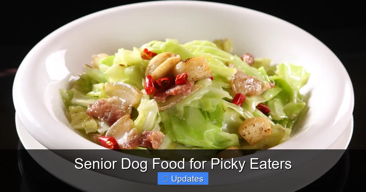 Senior Dog Food for Picky Eaters