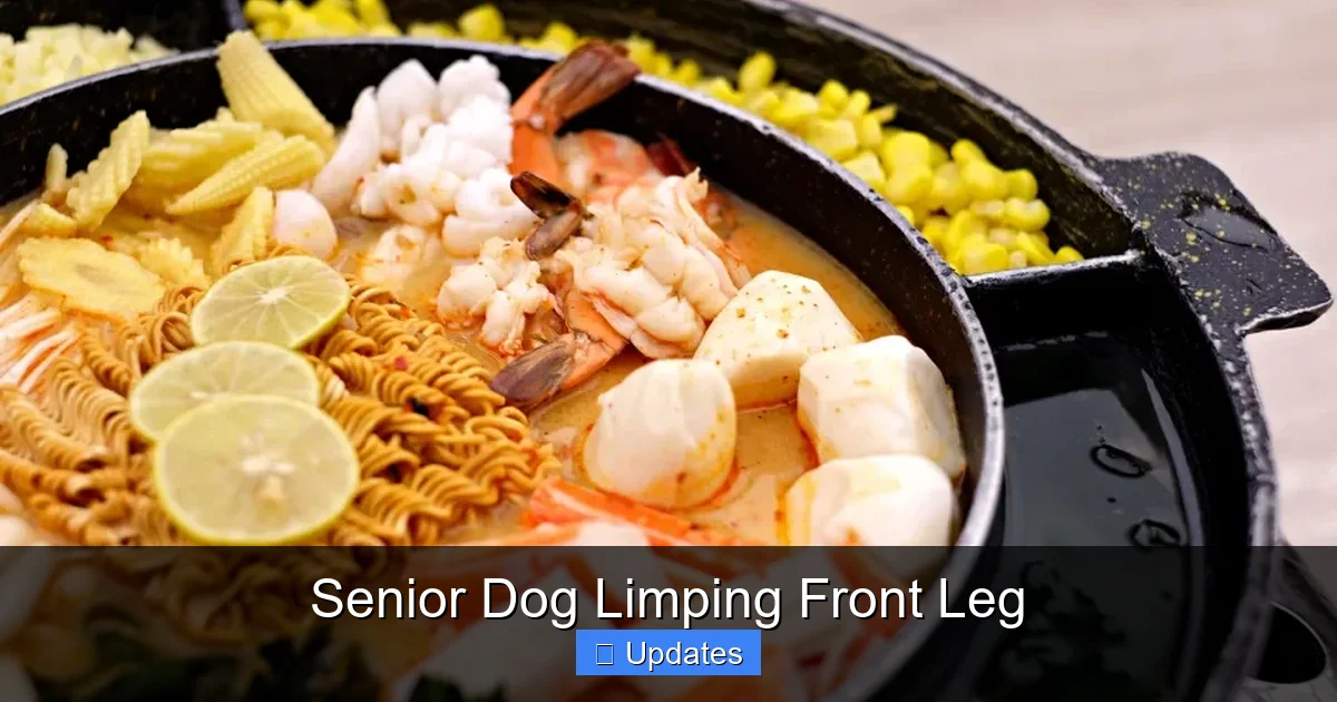 Senior Dog Limping Front Leg