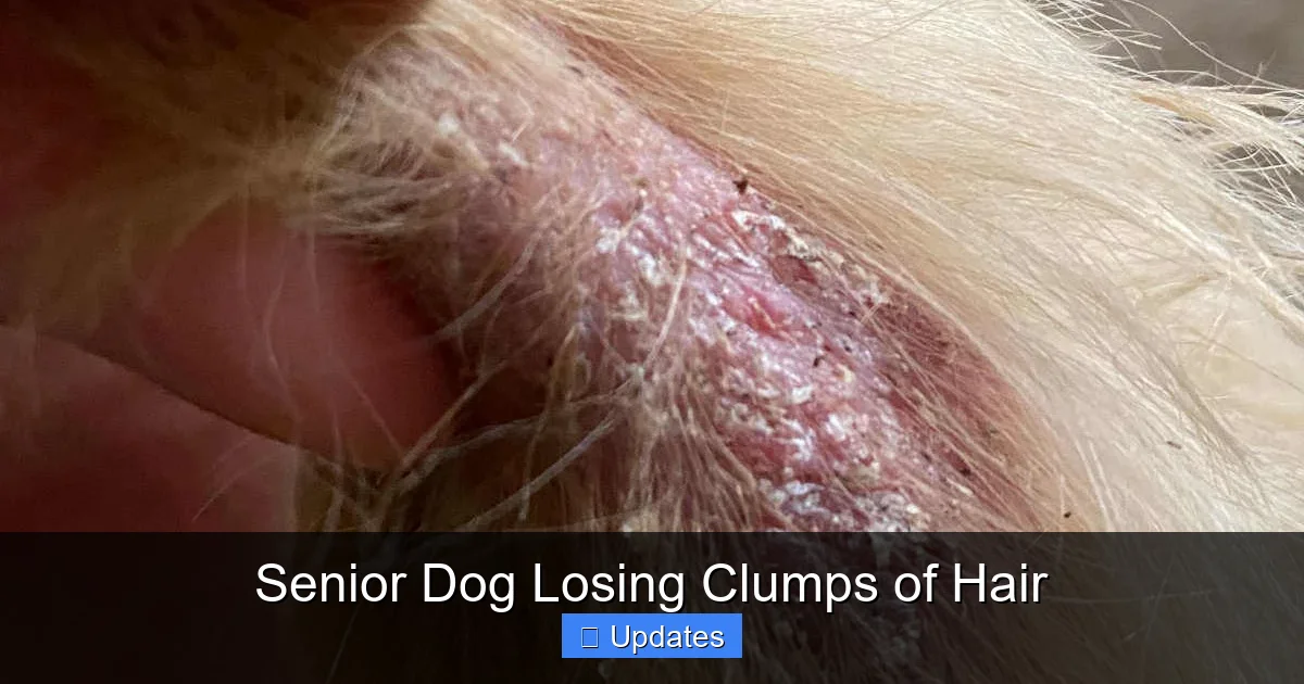 Why Is My Senior Dog Losing Hair In Clumps