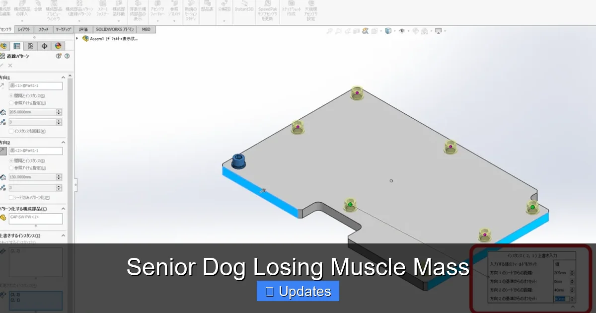 Senior Dog Losing Muscle Mass