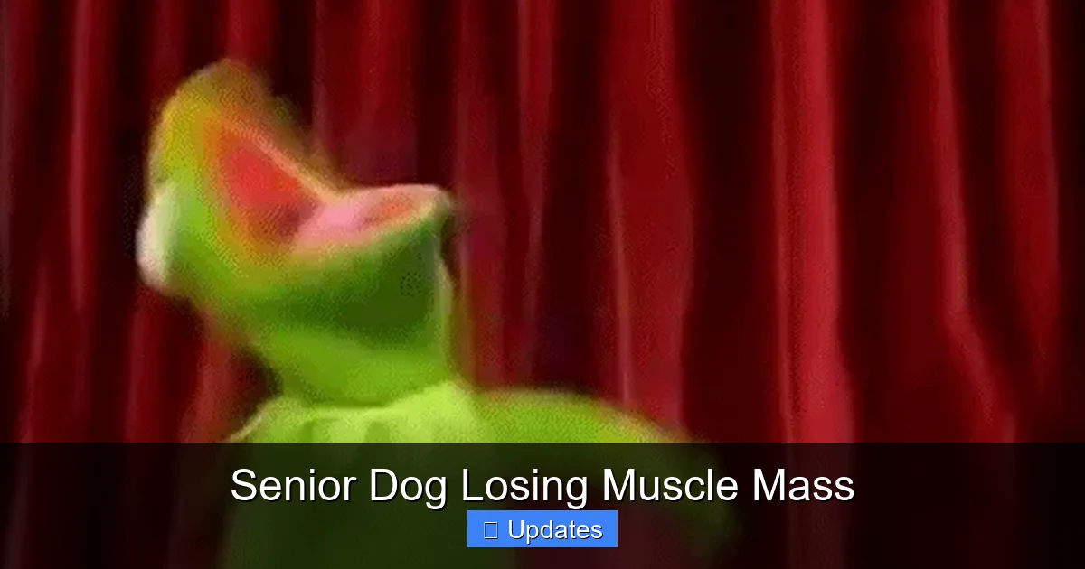 Senior Dog Losing Muscle Mass