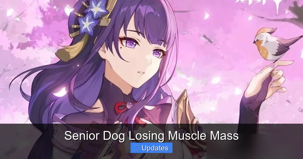 Senior Dog Losing Muscle Mass