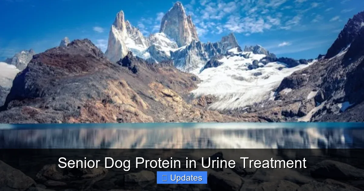 Senior Dog Protein in Urine Treatment