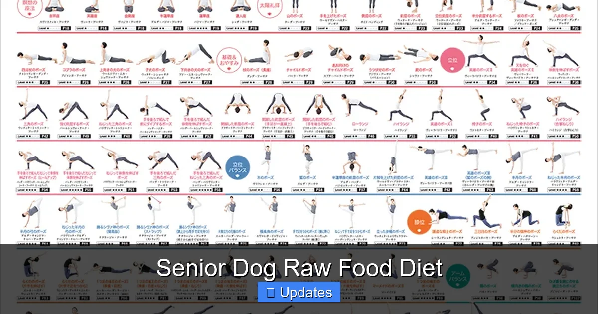 Senior Dog Raw Food Diet
