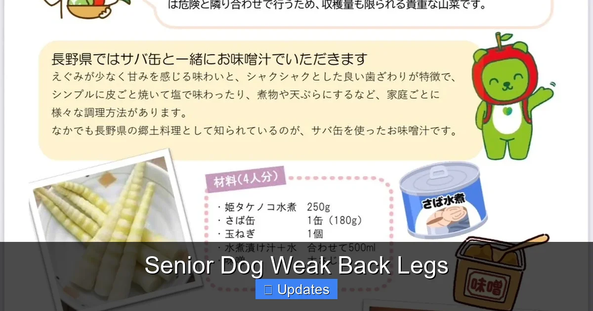 Senior Dog Weak Back Legs