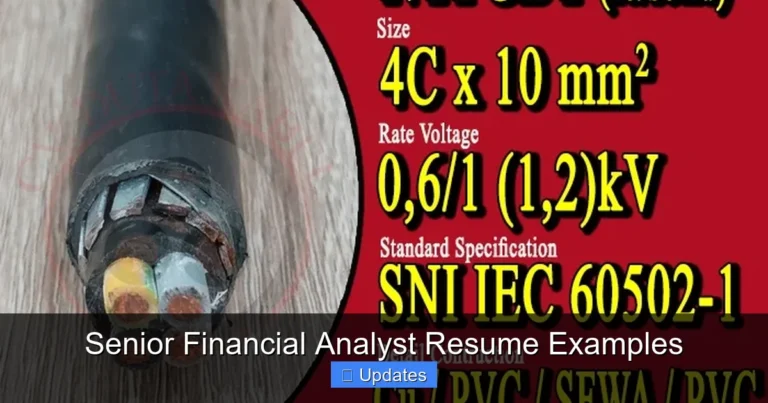 Senior Financial Analyst Resume Examples
