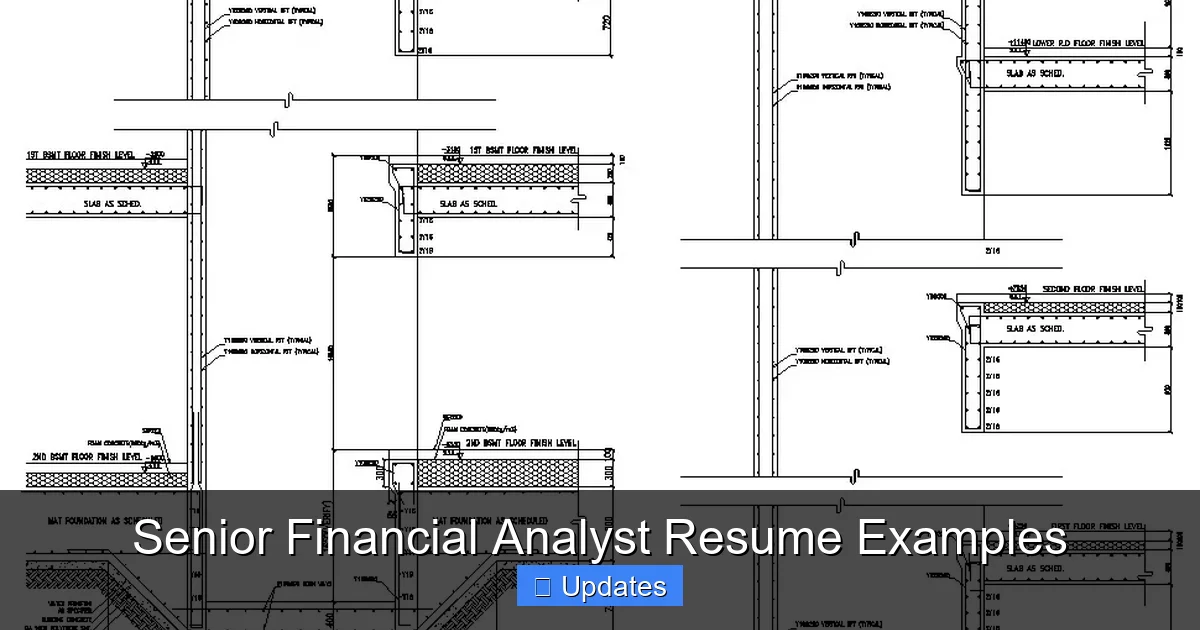 Senior Financial Analyst Resume Examples