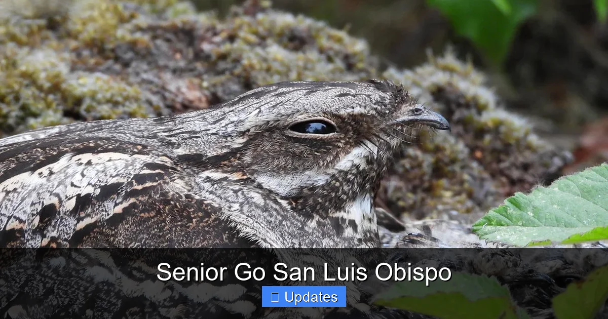 Senior Go San Luis Obispo