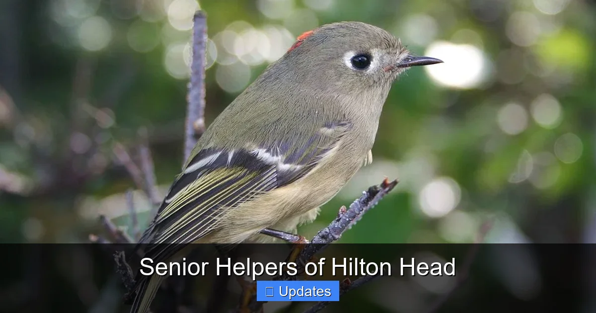 Senior Helpers of Hilton Head