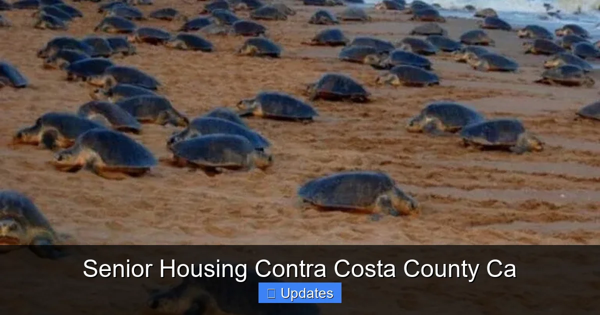 Senior Housing Contra Costa County Ca