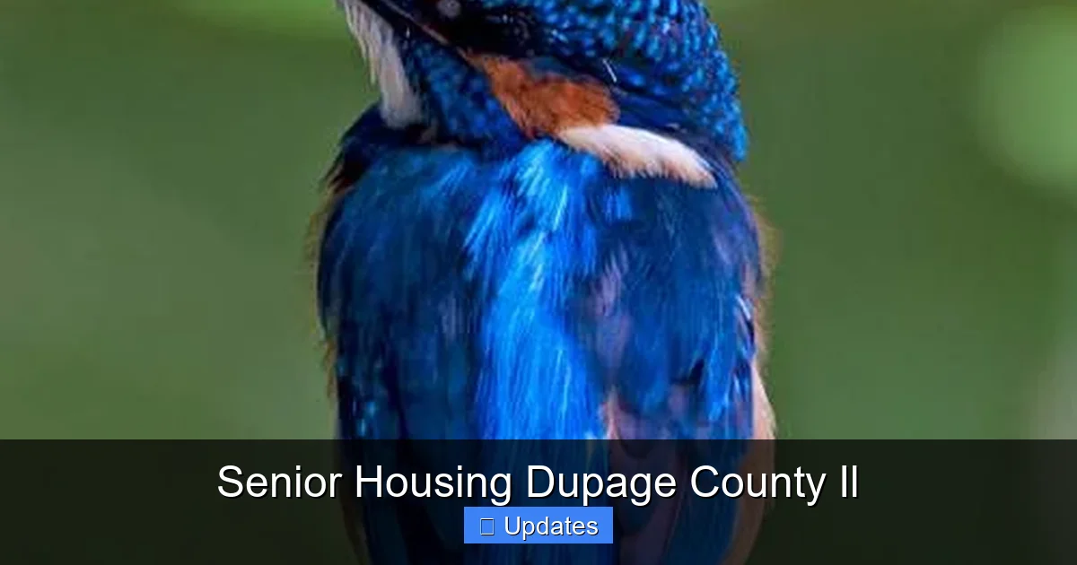 Senior Housing Dupage County Il