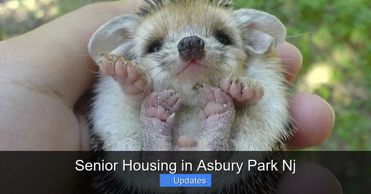 Senior Housing in Asbury Park Nj