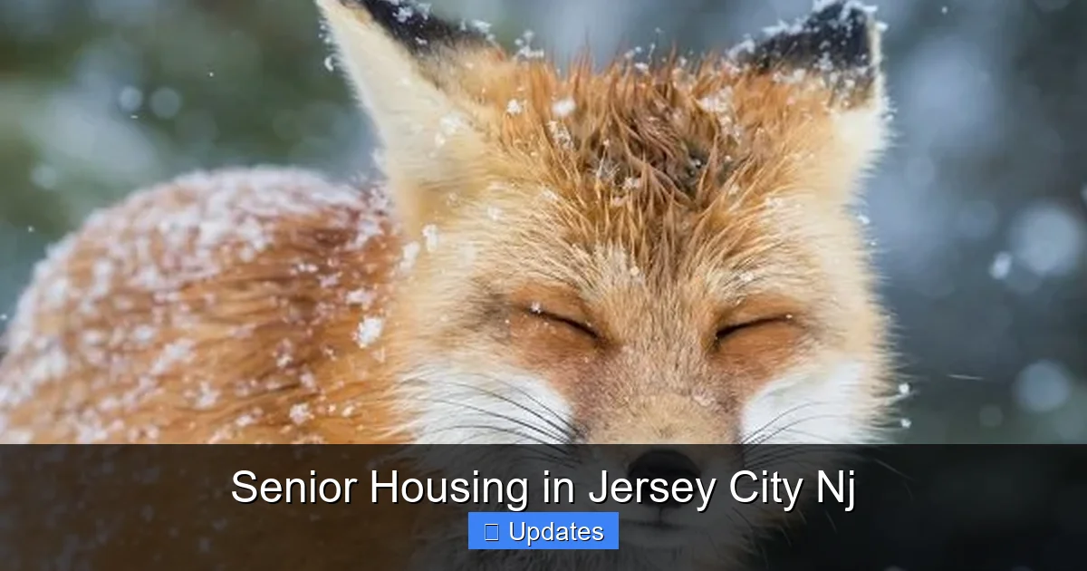 Senior Housing in Jersey City Nj