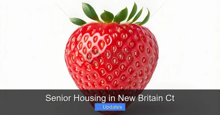 Senior Housing in New Britain Ct