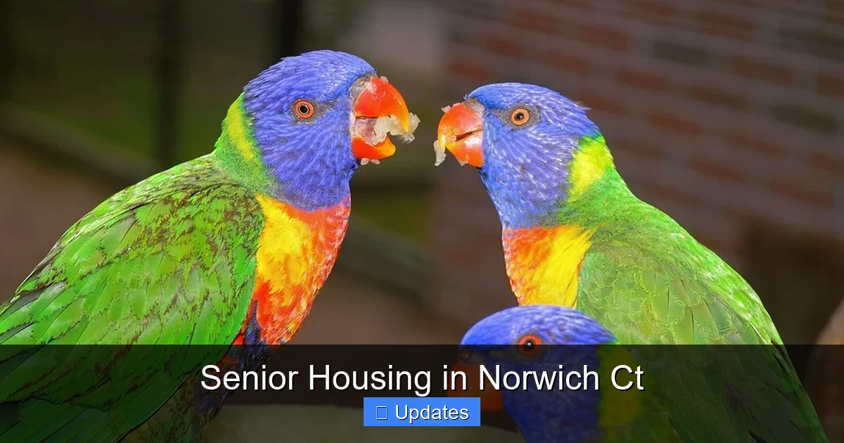 Senior Housing in Norwich Ct